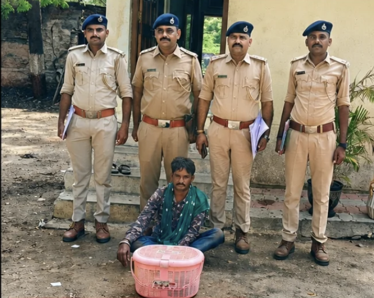 હળવદમાં વન વિભાગનો મોટો ધડાકો : કડીયાણામાંથી વન્યજીવ શિકારી ઝડપાયો, જીવિત ત્રણ શેરા અને એક ઘો સાથે પકડાયો